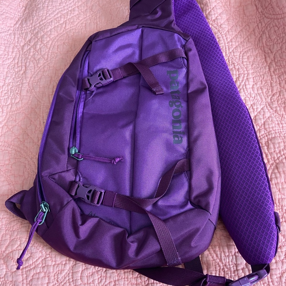 Patagonia Mini Back Pack